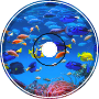 An Aquatic Introduction
