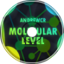 Molecular Level