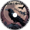 V-Raven