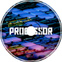 PRGX - Processor