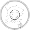xcvb
