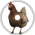 hawk goes a