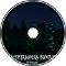 Mysterious Forest