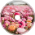 Flower Fields