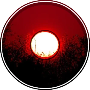 Solar Singularity