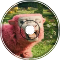 -Subysong- Minecraft company