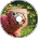 -Subysong- Minecraft company