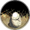rotten easter
