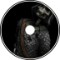 UAVSCAN34