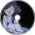 Once In A Dream