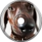 Toxi$-NOTHING speed up