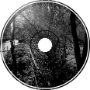 The Diminishing Shine [Instrumental]