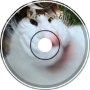 Insert