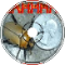 Grapevine Beetle Win