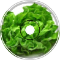 Lettuce Boy