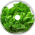 Lettuce Boy