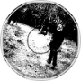 gardens (demo)