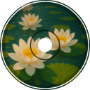 Lotus Flow