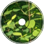 #FarflessSurplus# -Alone in the forest