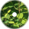 #FarflessSurplus# -Alone in the forest