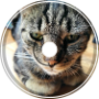 Go feed the cat
