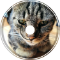 Go feed the cat