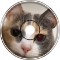 gumblextroh