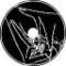 Ooen (Piano)