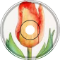 tulip's theme