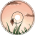 Fragmented Flower