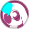 ORGMAKER'S LAMENT