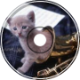 Walking The Cat