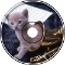 Walking The Cat