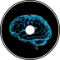 Brain Factory