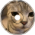 pipiskin