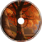 DenSkin8s - Note40 (Deep Autumn)
