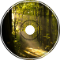 ~The Forest~
