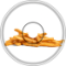 small fry