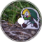 Zelda's Lullaby