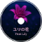 ユリの花 -Lily Flower-