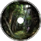 Viridian Evergreens