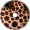 TRYPOPHOBIA