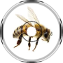 swarm of the wasps