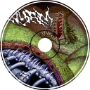 Into the Wyrm