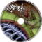 Into the Wyrm