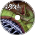 Into the Wyrm