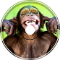 Banana Kong