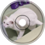 Cat Dance
