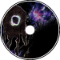 visual distortions
