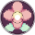 A Flower For You (AIM 2025)